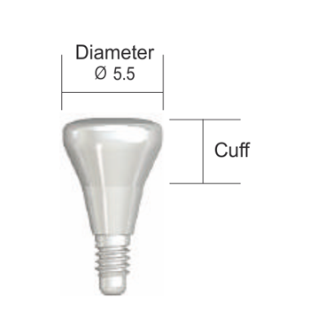 IS Healing Abutment 55